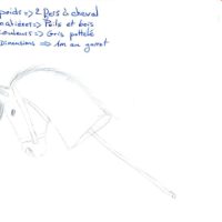 02 KENTAURI CLUB dessin 02 KENTAURI CLUB dessin