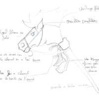 24 LES LUMARTIN dessin 24 LES LUMARTIN dessin